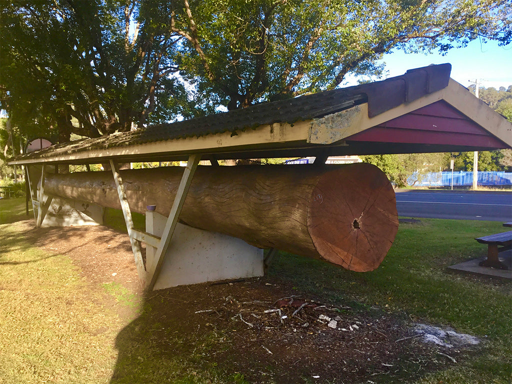 The Woodworkers Favourite, Australian Red cedar