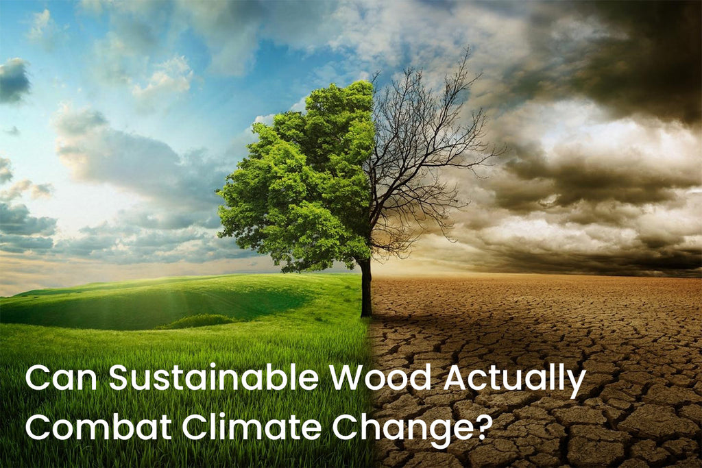 Can Sustainable Wood Actually Combat Climate Change?